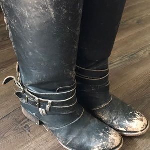 Freebird by Steven Drove